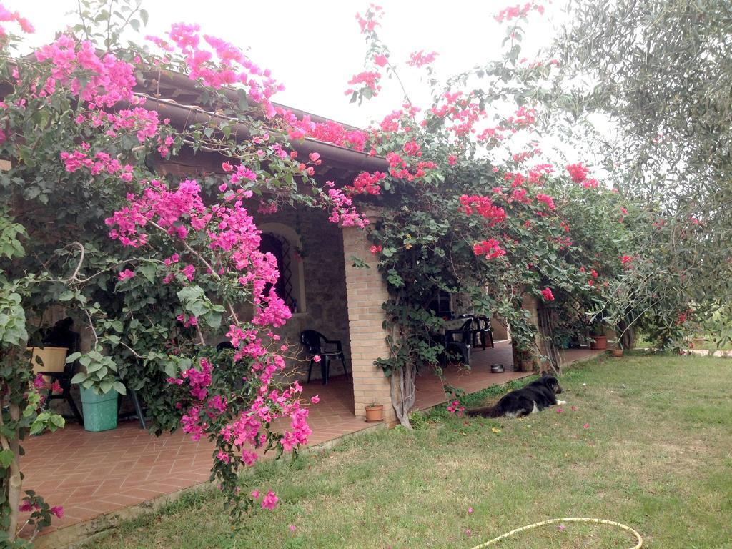 Casa Santina Villa จิราโซเล ห้อง รูปภาพ
